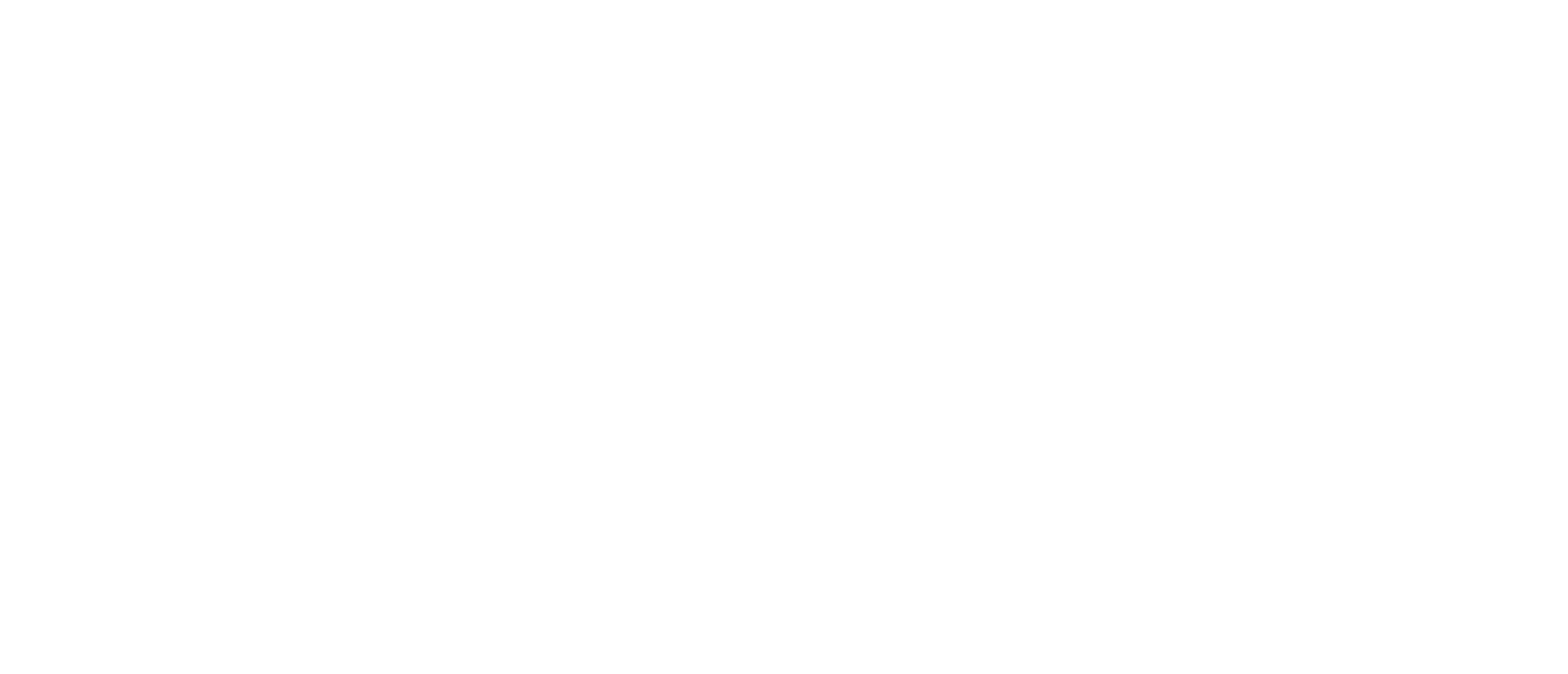 Zopy